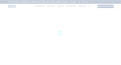 Desktop Screenshot of bmi.com.do